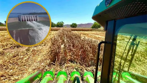 Nota Relacionada de Agro