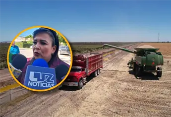 Diputada federal, Ana Ayala, garantiza atención puntual a productores sinaloenses