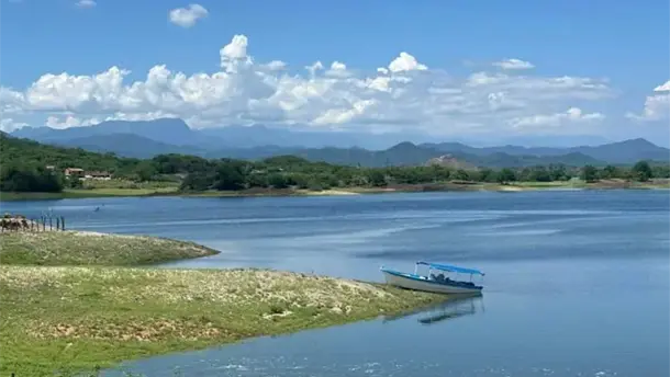 Nota Relacionada de Agro