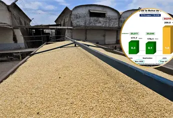 Samuel Sarmiento: en $5,077 la tonelada de maíz para Sinaloa