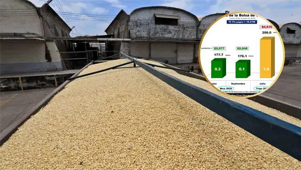 Nota Relacionada de Agro