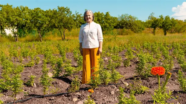Nota Relacionada de Sinaloa