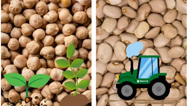 Nota Relacionada de Agro