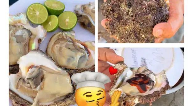 Nota Relacionada de Sinaloa