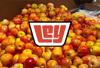 Día de la Fruta y la Verdura en Ley: ofertas del 21 de octubre 2025 en Sinaloa