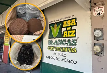 Primeras tortillas de maíz negro nixtamalizado en Sinaloa: ricas y saludables