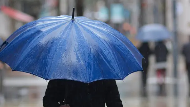 Nota Relacionada de Sinaloa