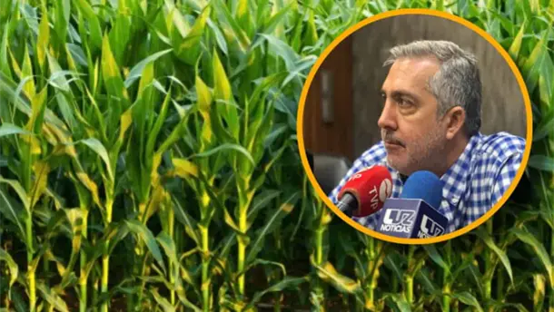 Nota Relacionada de Agro