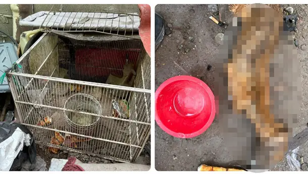 Nota Relacionada de Sinaloa