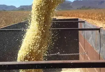 EE.UU. especula con el precio del maíz y dispara cotización a más de $5,100 por tonelada: Samuel Sarmiento