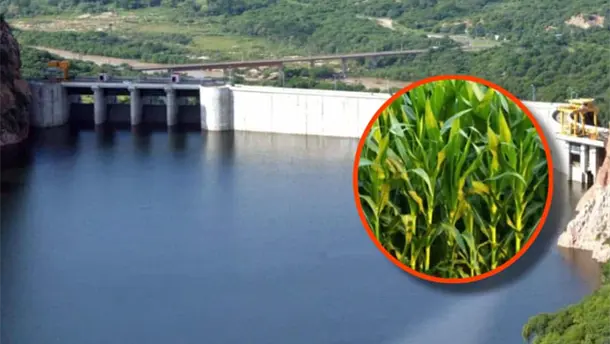 Nota Relacionada de Agro