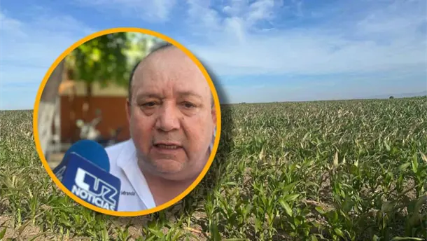Nota Relacionada de Agro