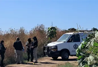 Localizan a un hombre asesinado en Higuerita de Culiacancito, en Culiacán