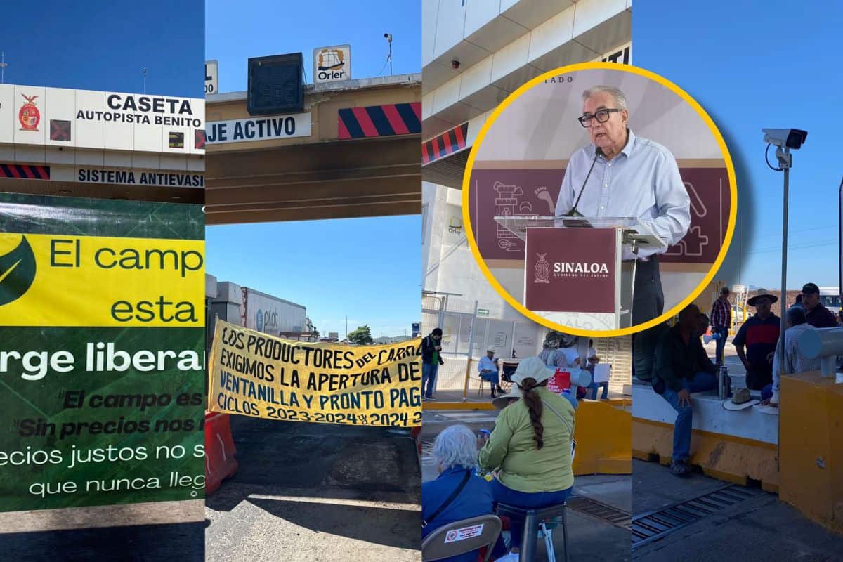 Imagen Placeholder Imagen Placeholder