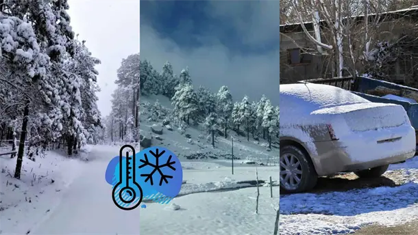 Nota Relacionada de México