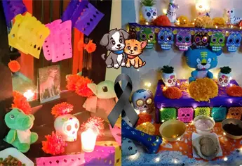 “Día de las Mascotas Difuntas”; regresan hoy cruzando el puente del arcoiris