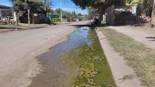 Nota Relacionada de Sinaloa