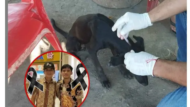 Nota Relacionada de Sinaloa