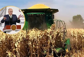 Tras bloqueo, productores del Bajío logran apoyo de $950 por tonelada de maíz