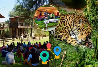 Safari en México: descubre dónde dormir con jirafas y leones en una experiencia única de glamping