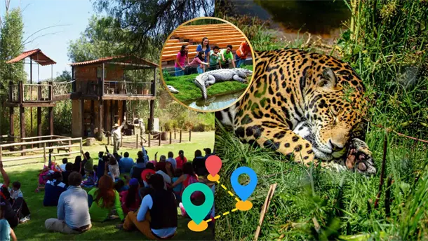 Nota Relacionada de México