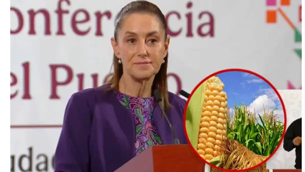 Nota Relacionada de Agro