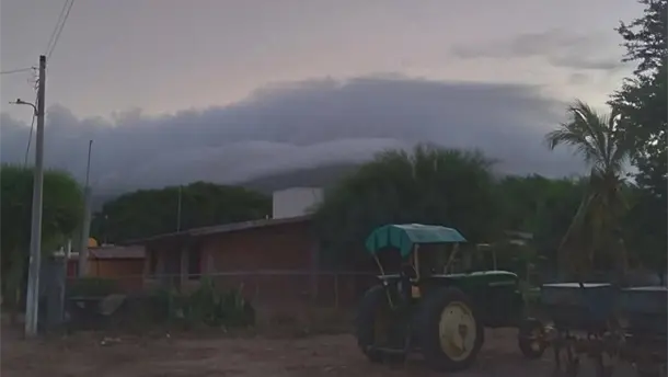 Nota Relacionada de Sinaloa