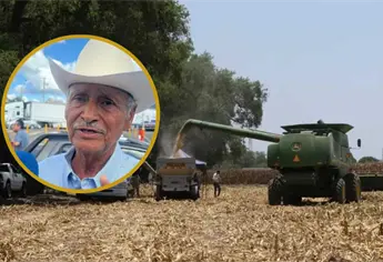 “Nos tienen de rodillas”: trigueros de Sinaloa advierten que el campo está paralizado por falta de pagos