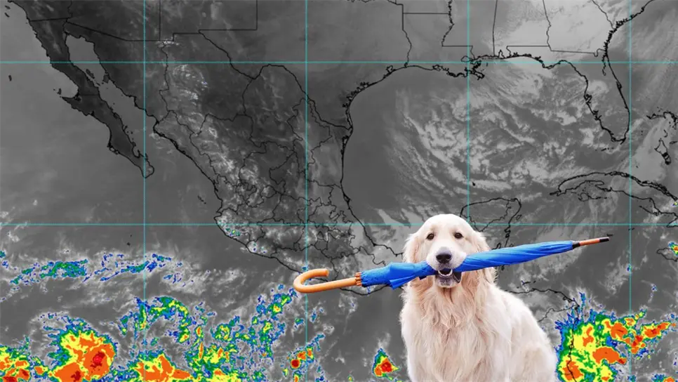 También se prevén heladas en estados de la Mesa del Norte y la Mesa Central. FOTO: Luz Noticias,