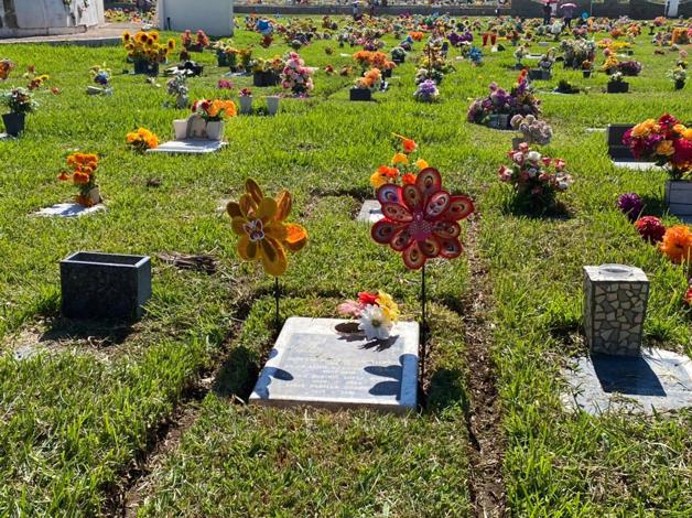 Imagen Placeholder Imagen Placeholder