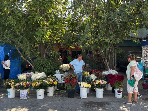 Imagen Placeholder Imagen Placeholder