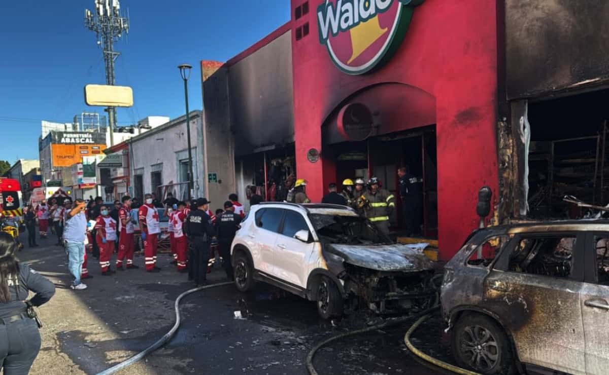 Imagen Placeholder Imagen Placeholder