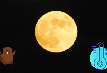 Luna de Castor 2025: ¿Cuándo y a qué hora ver la última superluna del año en México?