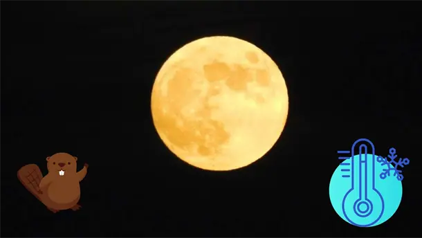 Nota Relacionada de México