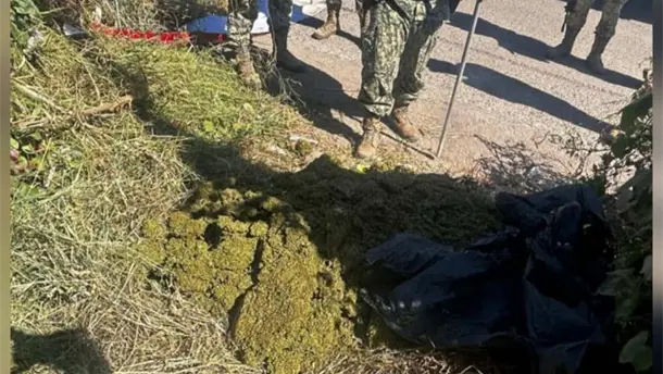 Nota Relacionada de Policiaca