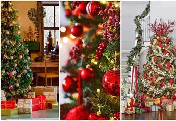 ¿Cuándo poner el Arbolito de Navidad y otros adornos alusivos a la fecha?