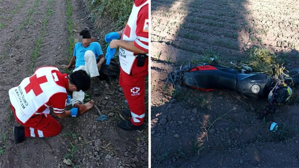 Al sitio se hicieron presentes elementos de Tránsito de la Secretaría de Seguridad y Protección Ciudadana de Ahome, mismos que se hicieron cargo de la ligera unidad, la cual sufrió daños y quedó tirada a un costado de la carretera estatal, dentro de una parcela