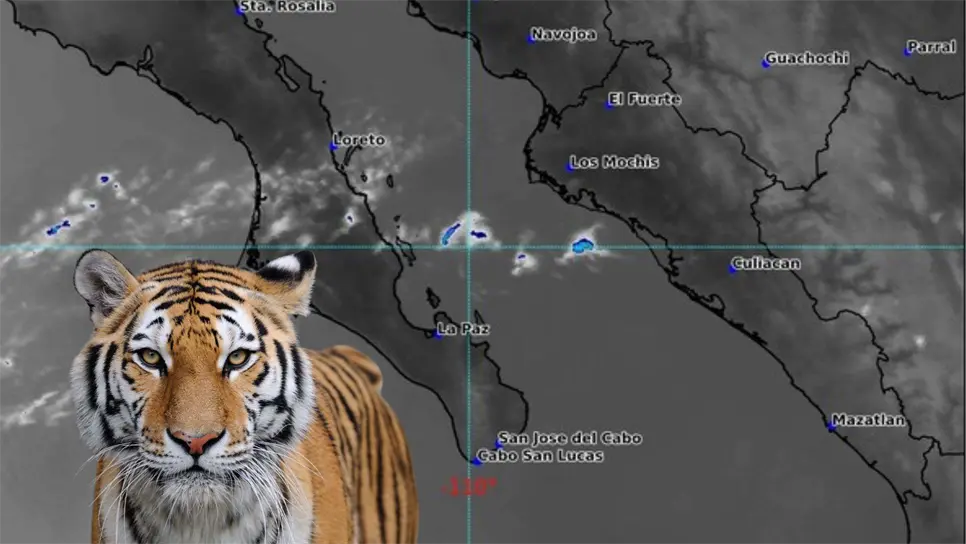 Se espera un ambiente más fresco en el norte y zonas serranas del estado. FOTO: Luz Noticias.