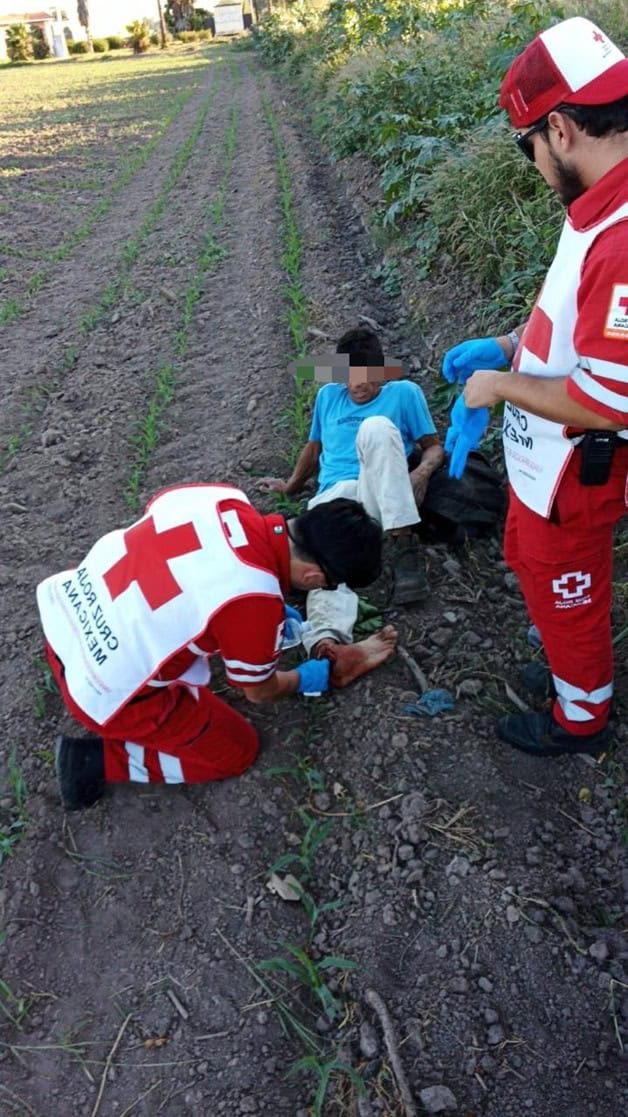 Imagen Placeholder Imagen Placeholder