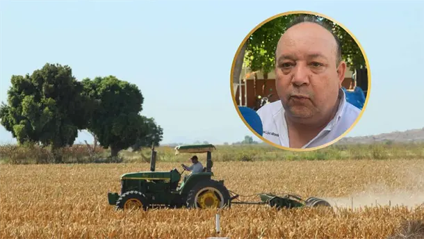 Nota Relacionada de Agro