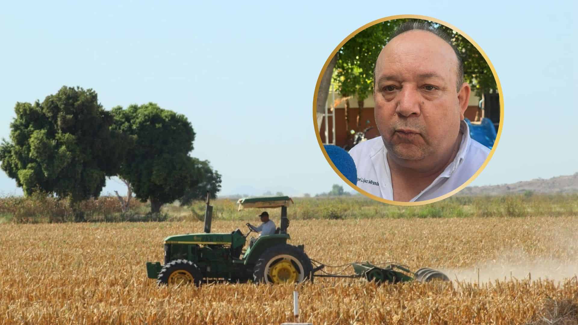 Presupuesto 2026 definirá el futuro del campo sinaloense