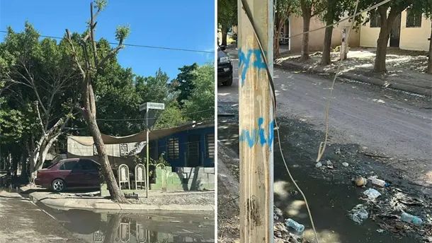 Nota Relacionada de Sinaloa