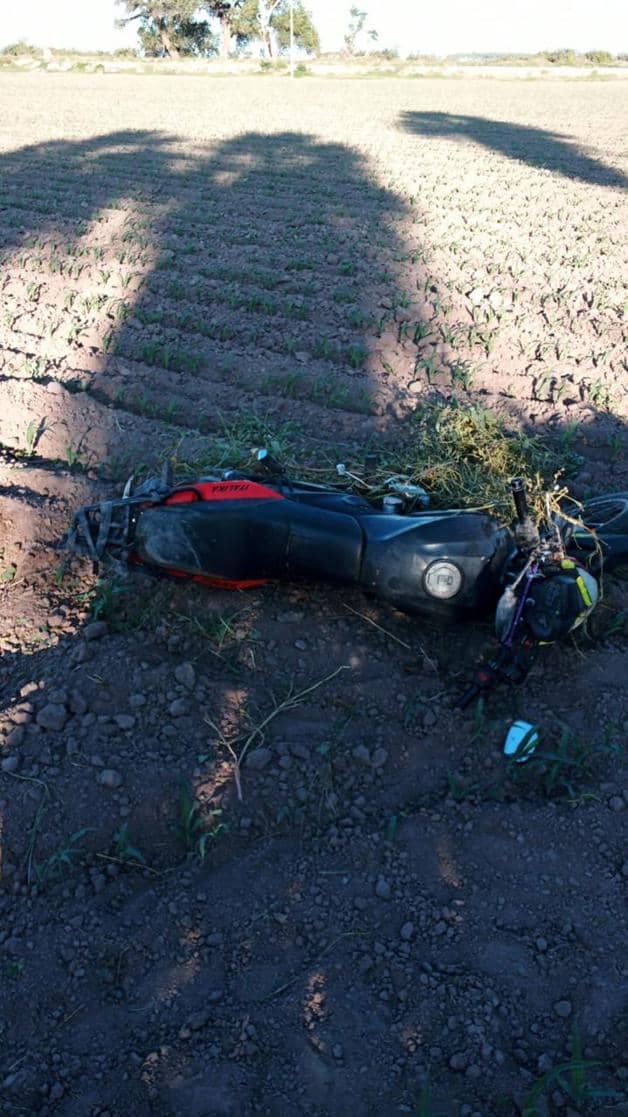 Imagen Placeholder Imagen Placeholder