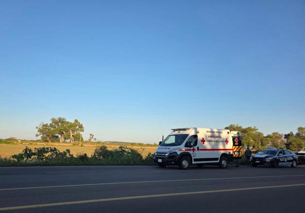 Imagen Placeholder Imagen Placeholder