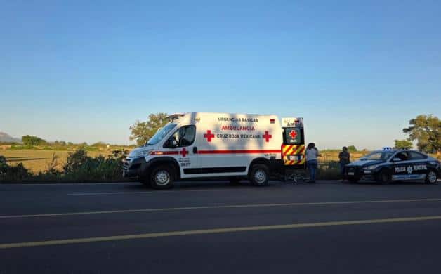 Imagen Placeholder Imagen Placeholder