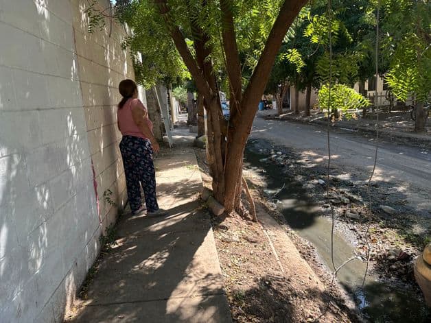 Imagen Placeholder Imagen Placeholder