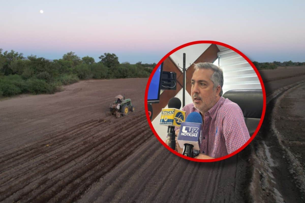 Productores decepcionados de diputados de Sinaloa 641 mdp son una asignación de risa: AARFS