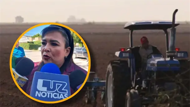 Nota Relacionada de Agro
