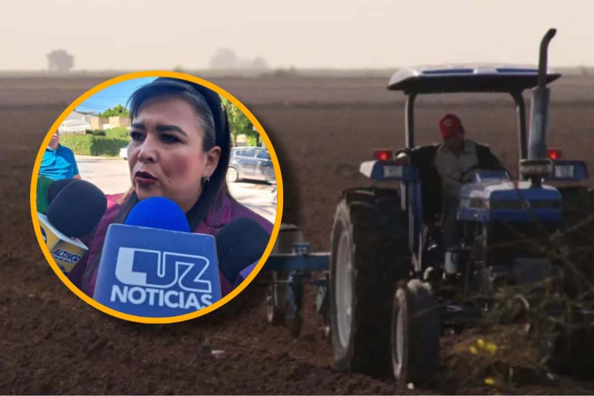 641 millones son una caja de prevención para el campo sinaloense: Diputada Ana Ayala