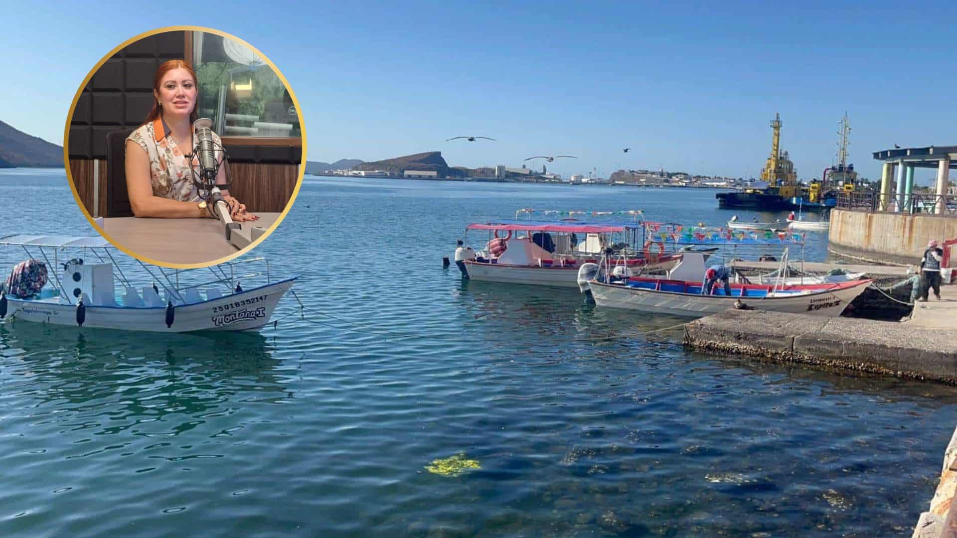 Ya cayó el Bienpesca Estatal: más de 32 mil pescadores sinaloenses reciben apoyo